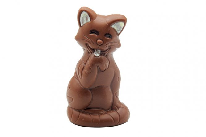 Chat Moustache chocolat lait