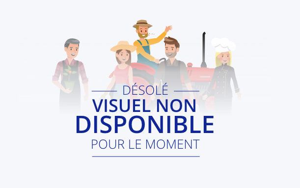   Thé Glacé un Amour de Fraise