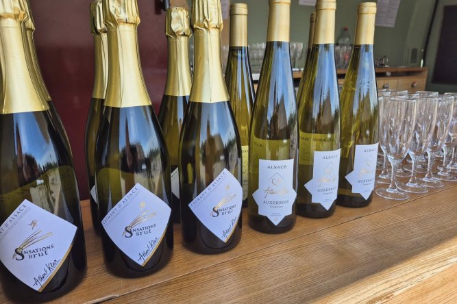 Vins Albert Klur