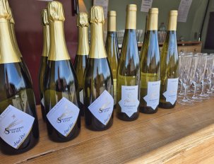Vins Albert Klur